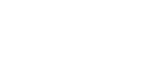 Imagen de Logo blanco