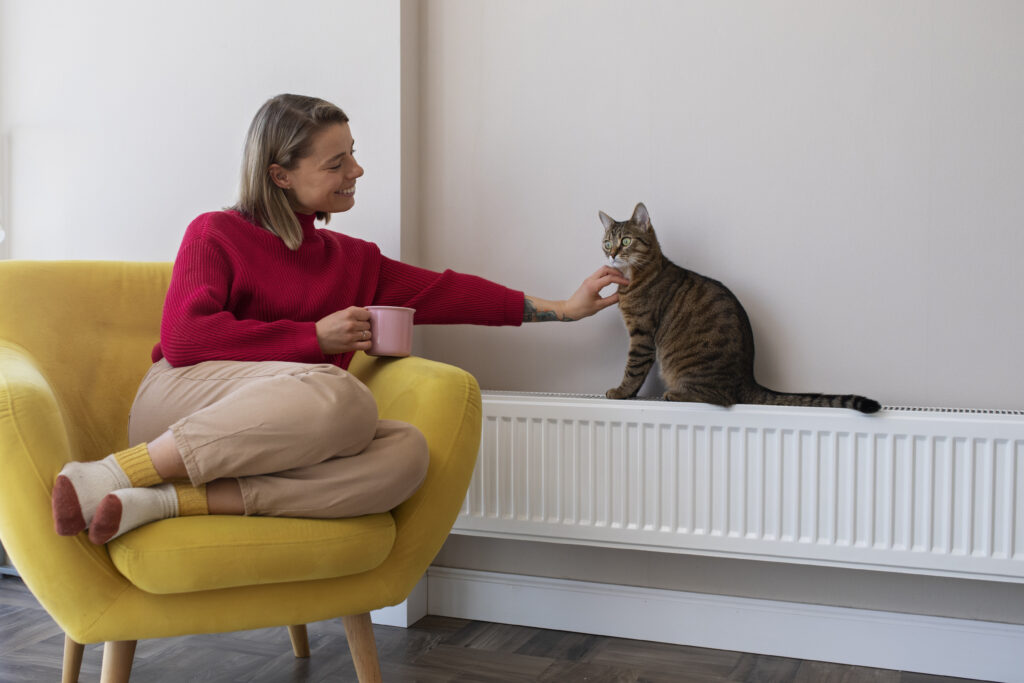 Imagen de Full shot woman petting cute cat
