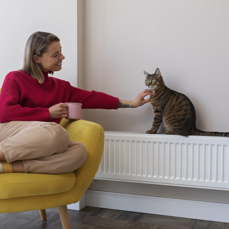 Imagen de Full shot woman petting cute cat
